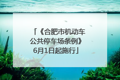 《合肥市机动车公共停车场条例》6月1日起施行