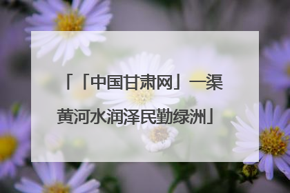 「中国甘肃网」一渠黄河水润泽民勤绿洲