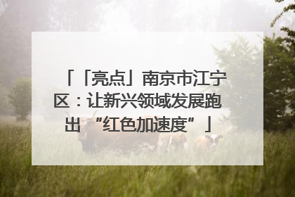 「亮点」南京市江宁区：让新兴领域发展跑出 “红色加速度”