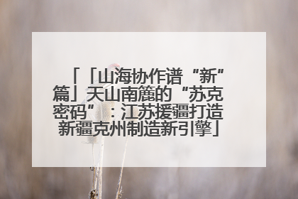 「山海协作谱“新”篇」天山南簏的“苏克密码”：江苏援疆打造新疆克州制造新引擎