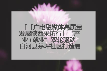 「广电融媒体高质量发展陕西采访行」“产业+就业”双轮驱动 白河县茅坪社区打造易地搬迁后扶新样本