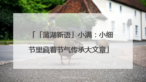 「蒲湖新语」小满：小细节里藏着节气传承大文章