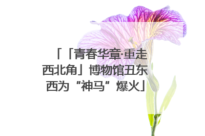 「青春华章·重走西北角」博物馆丑东西为“神马”爆火