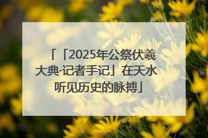 「2025年公祭伏羲大典·记者手记」在天水 听见历史的脉搏