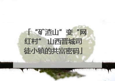 “矿渣山”变“网红村” 山西晋城司徒小镇的共富密码