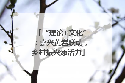 “理论+文化”：嘉兴黄岩联动，乡村振兴添活力