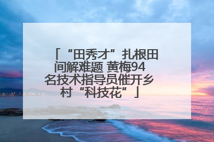 “田秀才”扎根田间解难题 黄梅94名技术指导员催开乡村“科技花”
