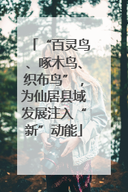 “百灵鸟、啄木鸟、织布鸟”，为仙居县域发展注入“新”动能