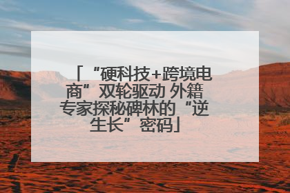 “硬科技+跨境电商”双轮驱动 外籍专家探秘碑林的“逆生长”密码