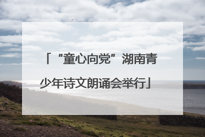 “童心向党”湖南青少年诗文朗诵会举行