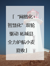 “网格化+智慧化”双轮驱动 柘城县全力护航小麦夏收