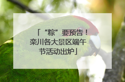 “粽”要预告！栾川各大景区端午节活动出炉