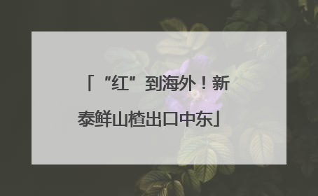 “红”到海外！新泰鲜山楂出口中东