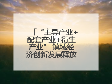 “主导产业+配套产业+衍生产业” 镇域经济创新发展释放强劲发展动能