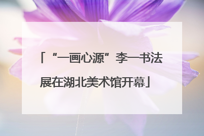 “一画心源”李一书法展在湖北美术馆开幕