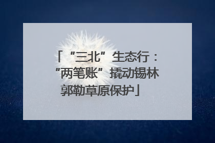 “三北”生态行：“两笔账”撬动锡林郭勒草原保护