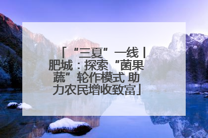 “三夏”一线丨肥城：探索“菌果蔬”轮作模式 助力农民增收致富