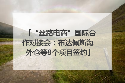 “丝路电商”国际合作对接会：布达佩斯海外仓等8个项目签约