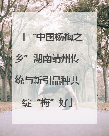 “中国杨梅之乡”湖南靖州传统与新引品种共绽“梅”好