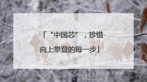 “中国芯”，珍惜向上攀登的每一步