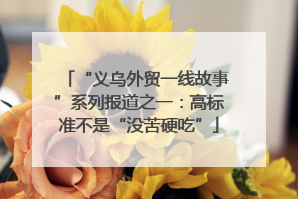 “义乌外贸一线故事”系列报道之一：高标准不是“没苦硬吃”