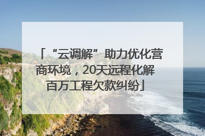 “云调解”助力优化营商环境，20天远程化解百万工程欠款纠纷