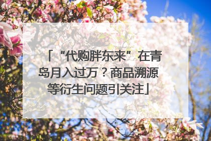 “代购胖东来”在青岛月入过万？商品溯源等衍生问题引关注