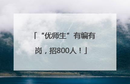 “优师生”有编有岗，招800人！