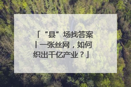 “县”场找答案丨一张丝网，如何织出千亿产业？
