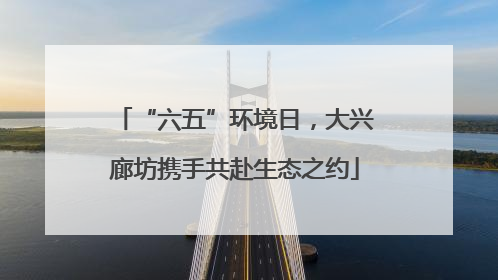 “六五”环境日，大兴廊坊携手共赴生态之约