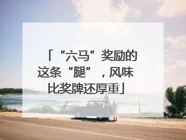 “六马”奖励的这条“腿”，风味比奖牌还厚重