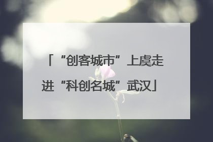 “创客城市”上虞走进“科创名城”武汉