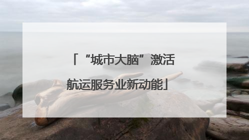 “城市大脑”激活航运服务业新动能
