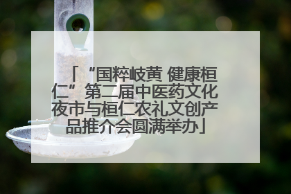 “国粹岐黄 健康桓仁”第二届中医药文化夜市与桓仁农礼文创产品推介会圆满举办