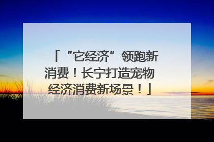 “它经济”领跑新消费！长宁打造宠物经济消费新场景！