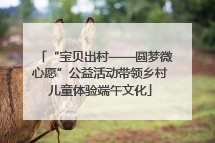 “宝贝出村——圆梦微心愿”公益活动带领乡村儿童体验端午文化