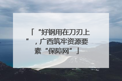 “好钢用在刀刃上”，广西筑牢资源要素“保障网”