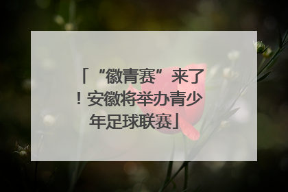 “徽青赛”来了！安徽将举办青少年足球联赛