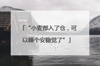 “小麦都入了仓，可以睡个安稳觉了”