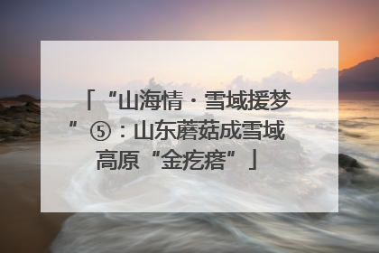 “山海情・雪域援梦”⑤：山东蘑菇成雪域高原“金疙瘩”