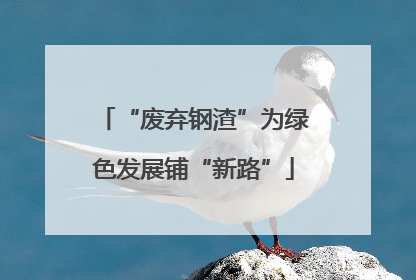 “废弃钢渣”为绿色发展铺“新路”