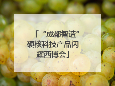 “成都智造”硬核科技产品闪耀西博会