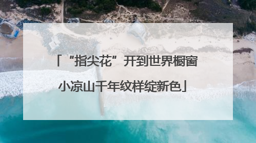 “指尖花”开到世界橱窗 小凉山千年纹样绽新色