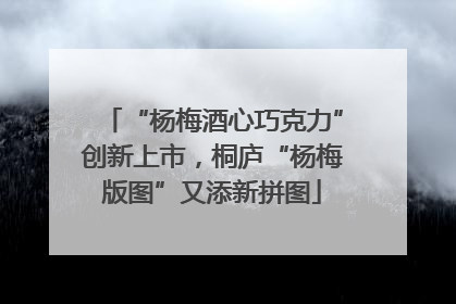 “杨梅酒心巧克力”创新上市，桐庐“杨梅版图”又添新拼图