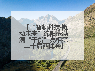 “智领科技·链动未来”绵阳携满满“干货”亮相第二十届西博会