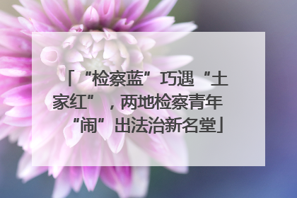 “检察蓝”巧遇“土家红”，两地检察青年“闹”出法治新名堂