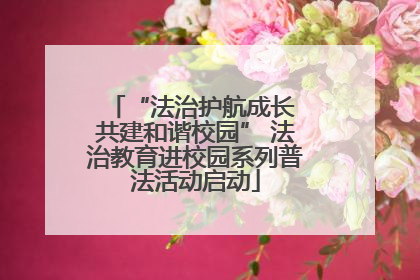 “法治护航成长 共建和谐校园” 法治教育进校园系列普法活动启动