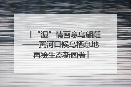 “湿”情画意鸟翩跹——黄河口候鸟栖息地再绘生态新画卷
