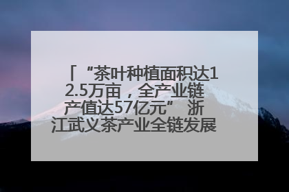 “茶叶种植面积达12.5万亩，全产业链产值达57亿元” 浙江武义茶产业全链发展“加速度”
