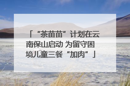 “茶苗苗”计划在云南保山启动 为留守困境儿童三餐“加肉”